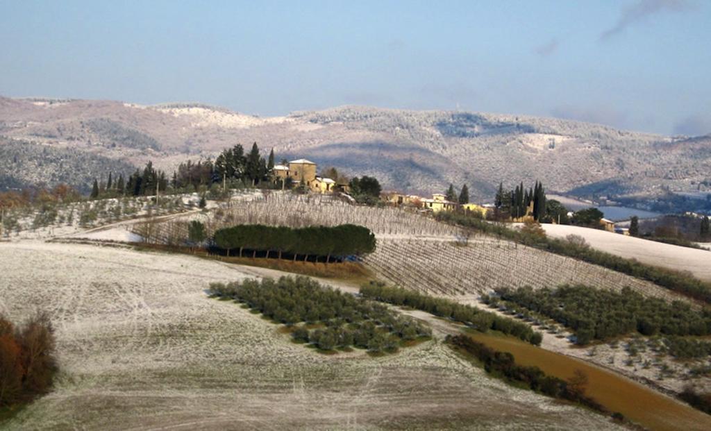 Osteria Carnivora Guest House Gaiole in Chianti Exterior foto